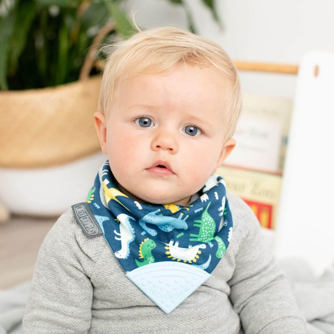 Cheeky Chompers Baby Dino teething dribble bib