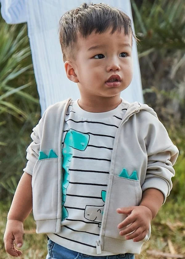 Toddler (1-3 years)