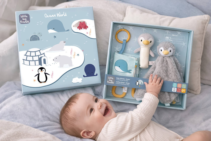 Baby Gift Box - Ocean