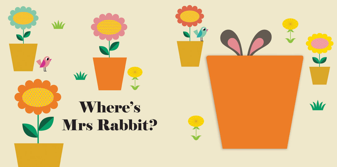 Felt Flap: Where's Mr Dog? (Buggy Book)