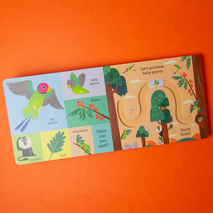 Let's Go Home, Baby Tiger