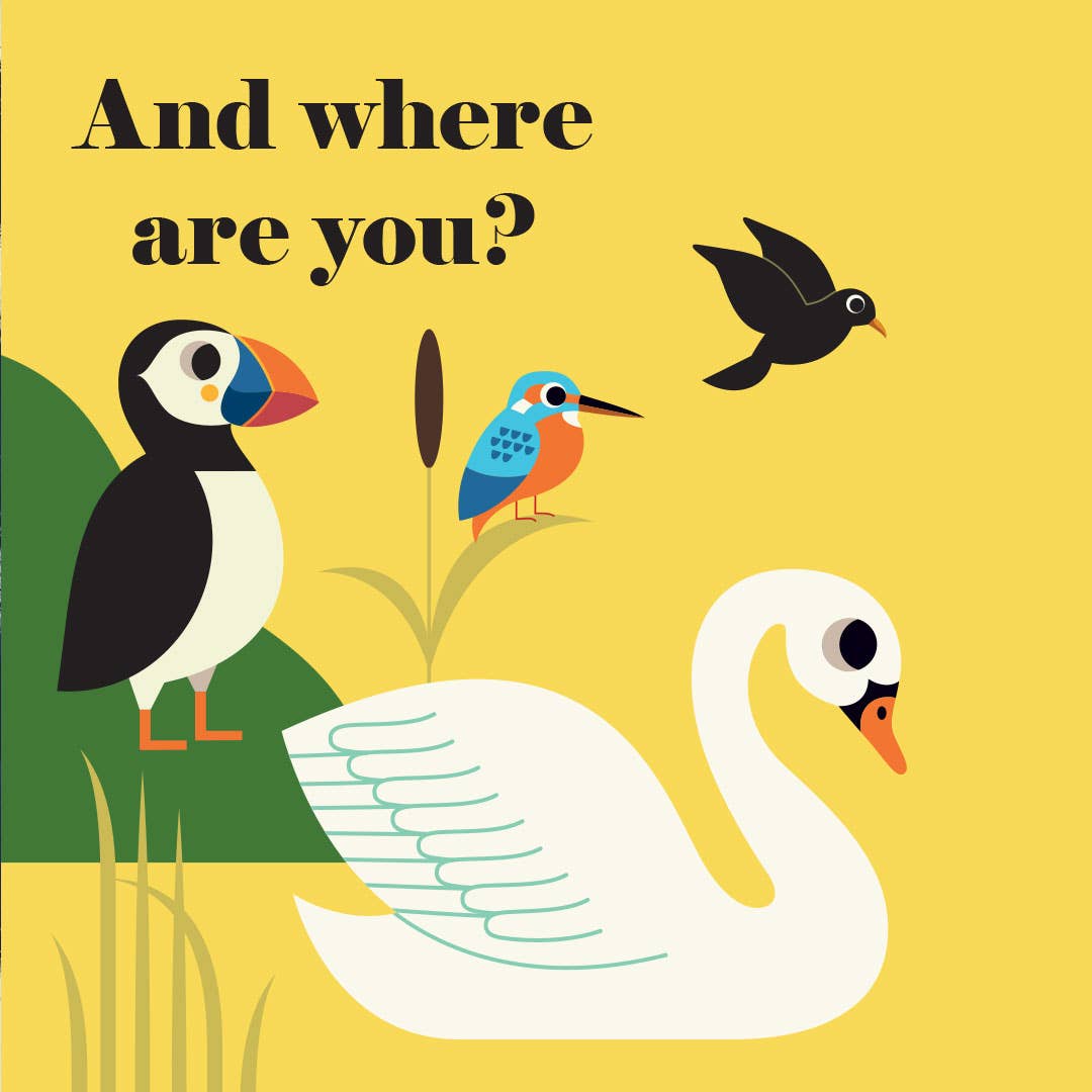 Felt Flaps: Where's Mr Puffin?