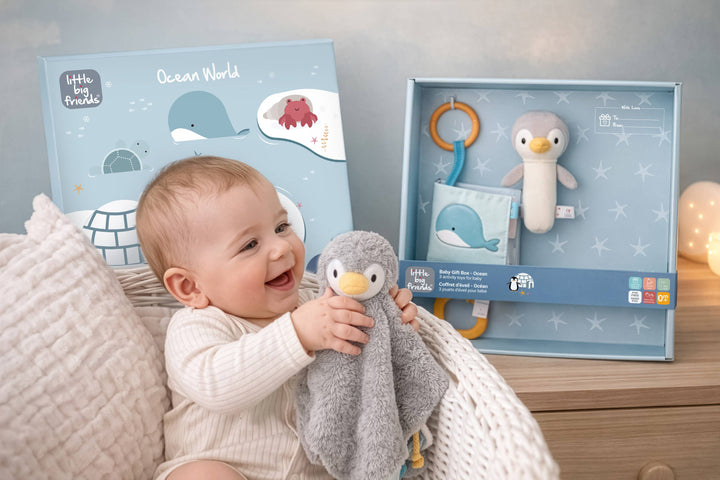 Baby Gift Box - Ocean