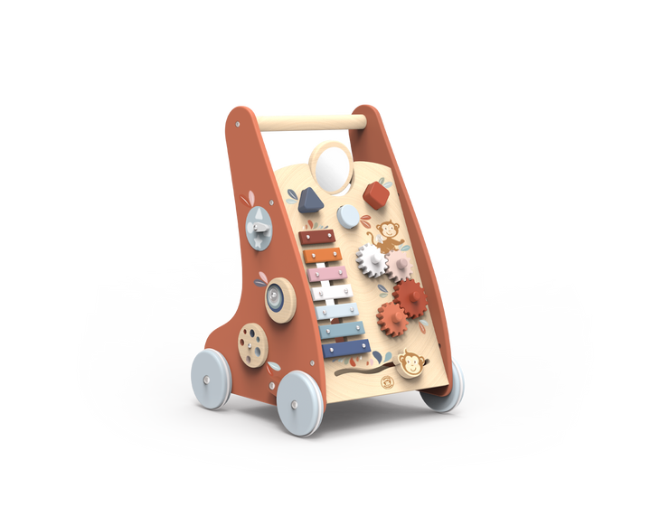 Multi Activity Baby Walker