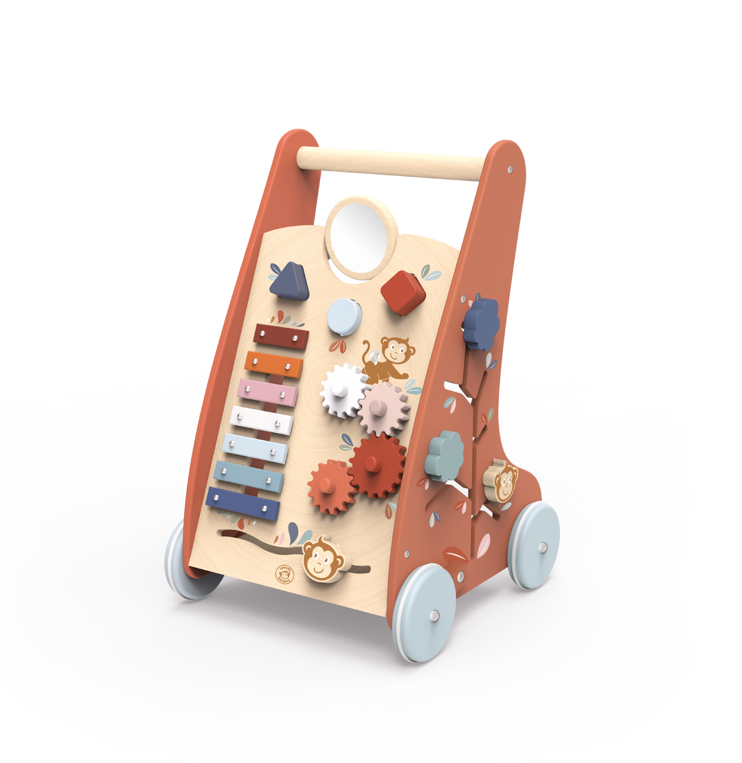 Multi Activity Baby Walker