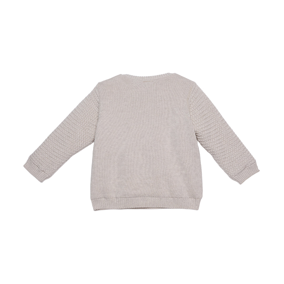 Mini Cuddles Baby Boy Sweater - Beige