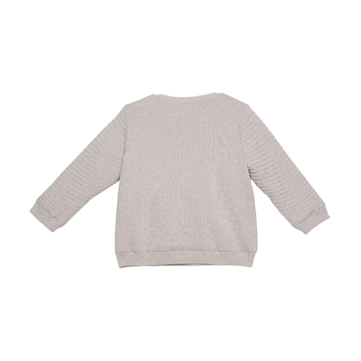 Mini Cuddles Baby Boy Sweater - Beige
