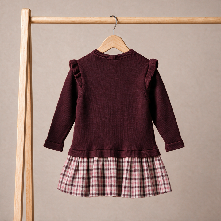 Mini Cuddles Baby Girl Dress - Plum