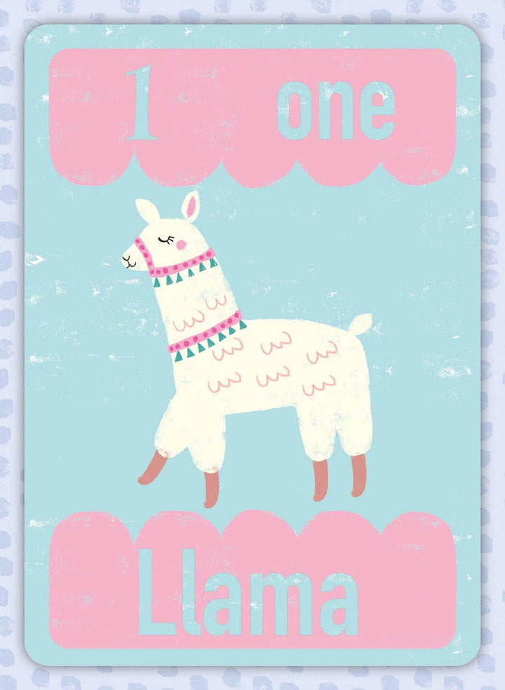 Playtime Pals flash cards - individual character card detail
