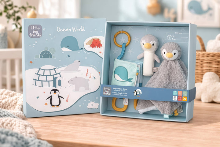 Baby Gift Box - Ocean
