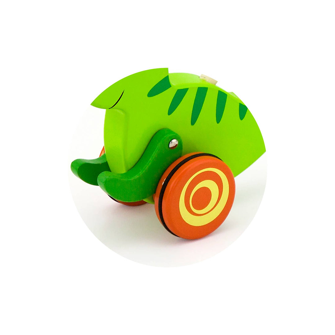 Push Along Toy