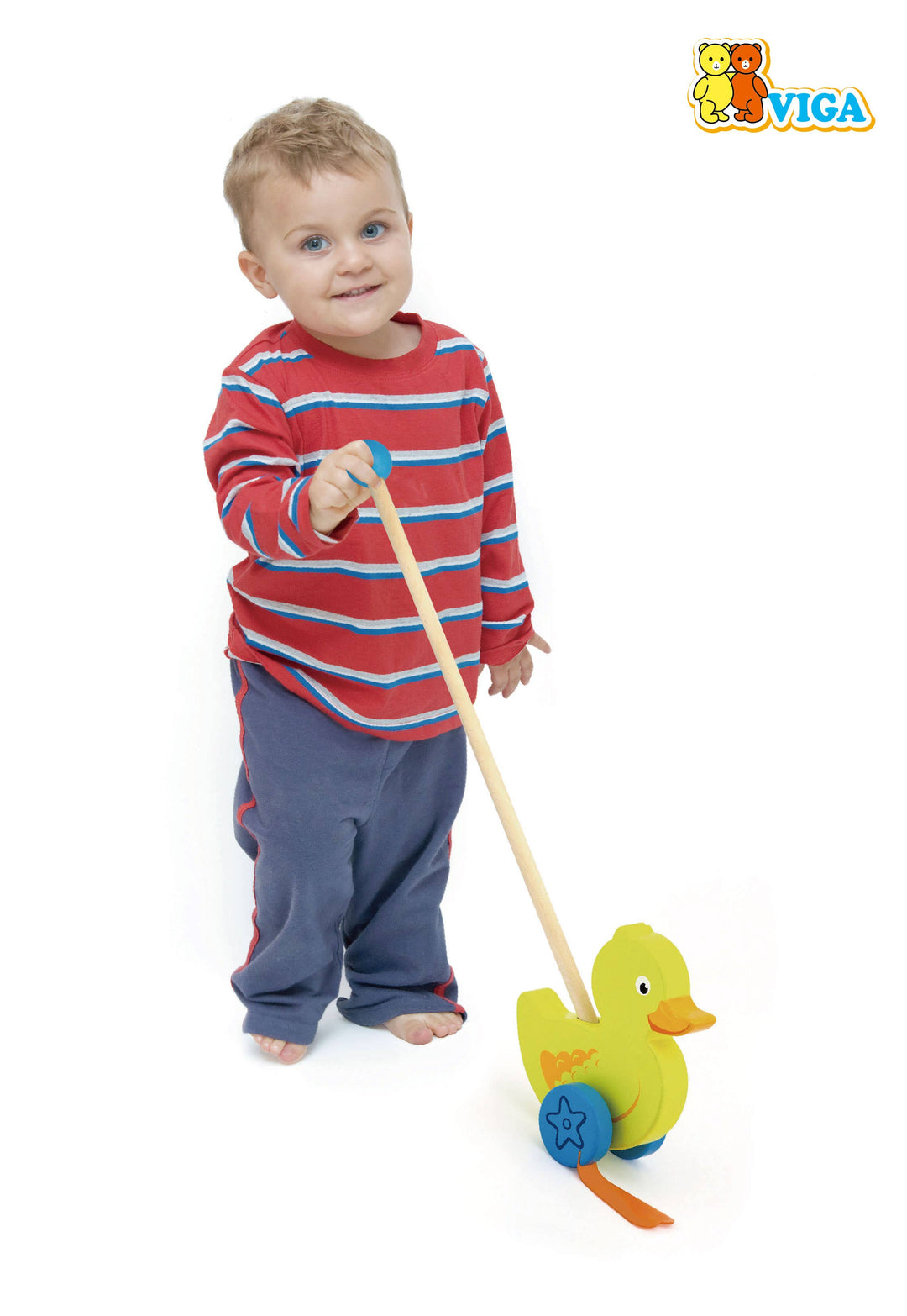 Push Along Toy