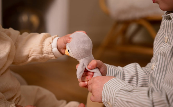 Little Big Friends The Penguin Squeaker