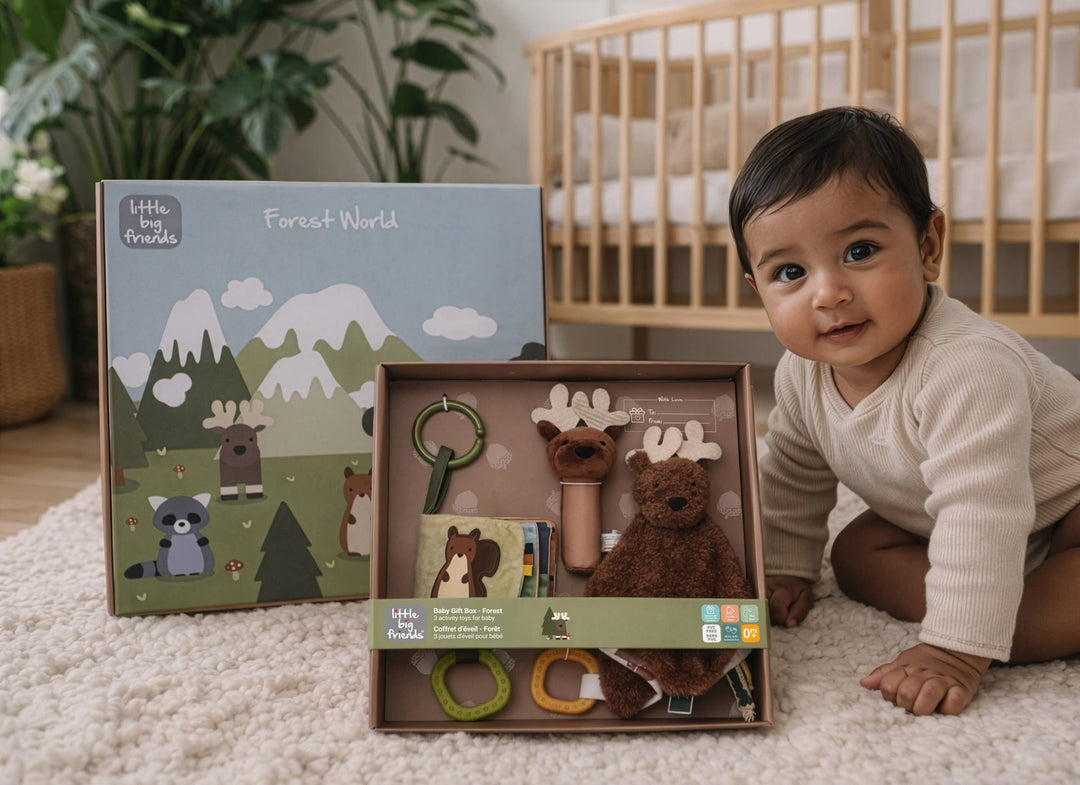 Baby Gift Box – Forest