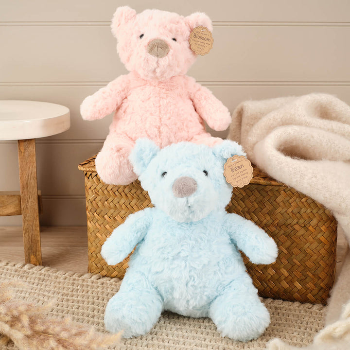 Bean and Blossom blue and pink bear plush soft toy
