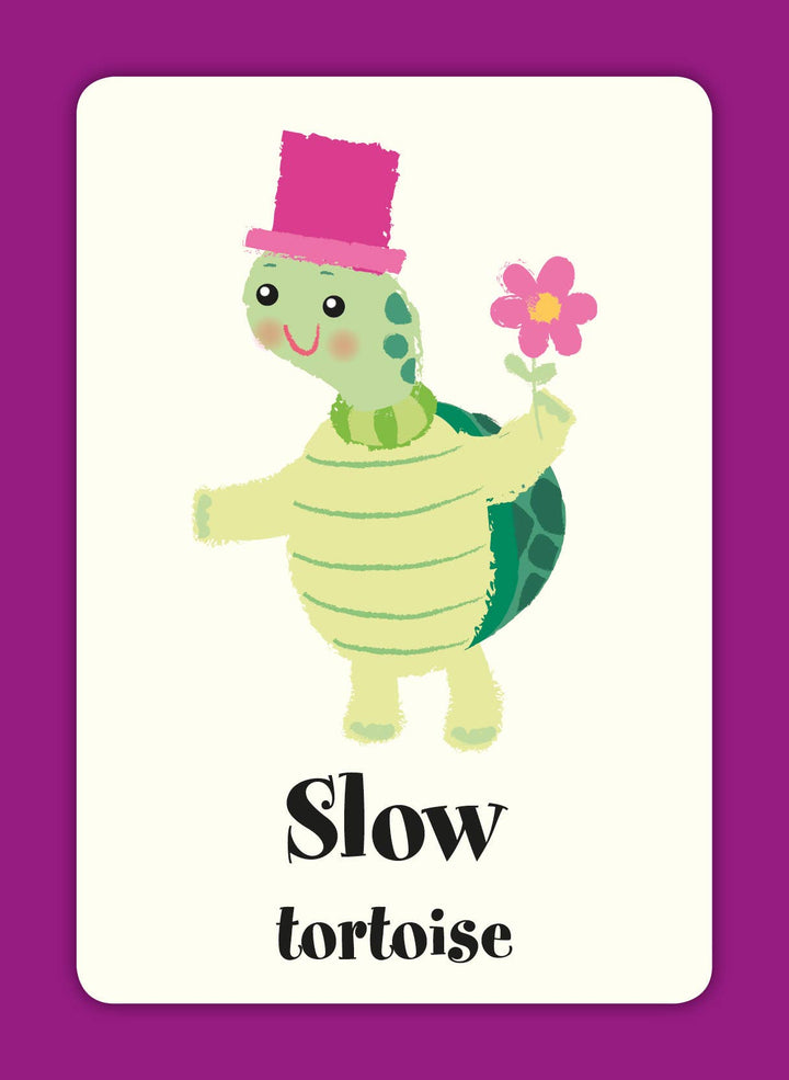 Flash Cards - First Learning - 30 Double Sided Cards