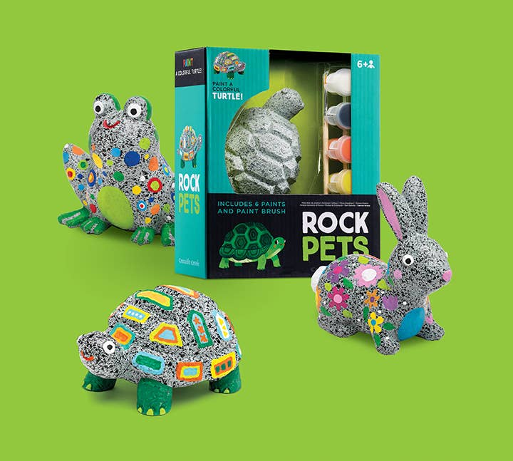 Rabbit Rock Pets Painting Set