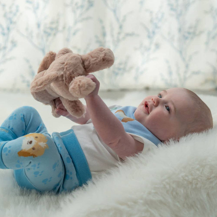 Puppy Plush Toy