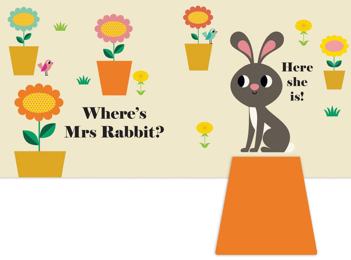 Felt Flap: Where's Mr Dog? (Buggy Book)