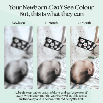 Sensory Flashcards