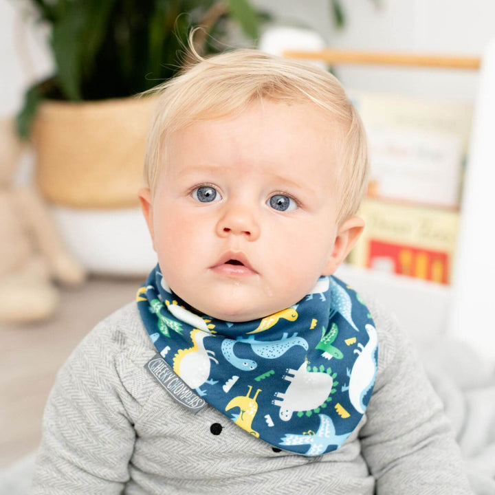Cheeky Chompers Neckerbib- Stripe and Dino