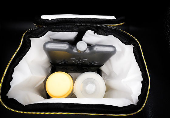 Milk On The Move Expressing Kit