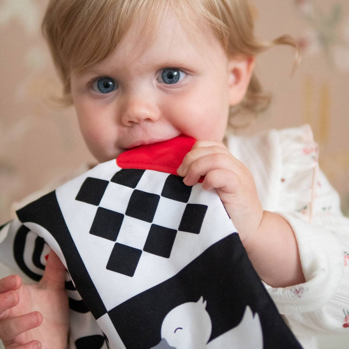 Baby Sensory Crinkle Square