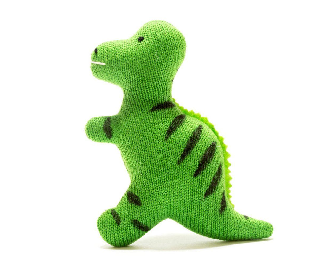 Baby T Rex