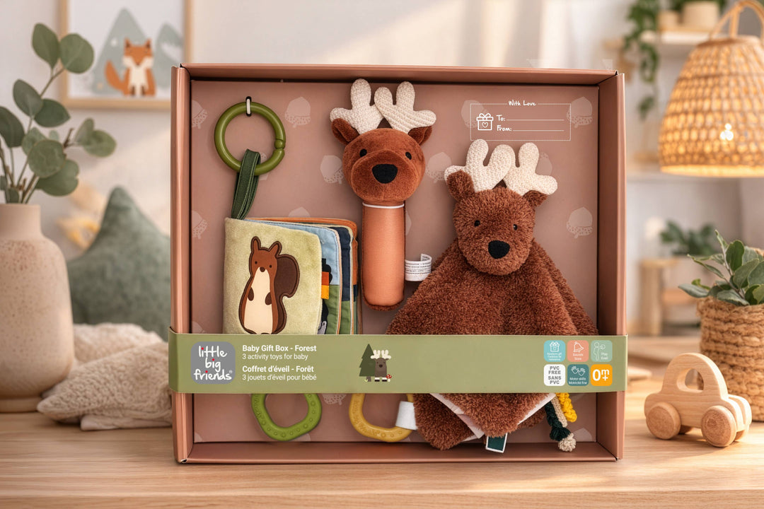 Baby Gift Box – Forest