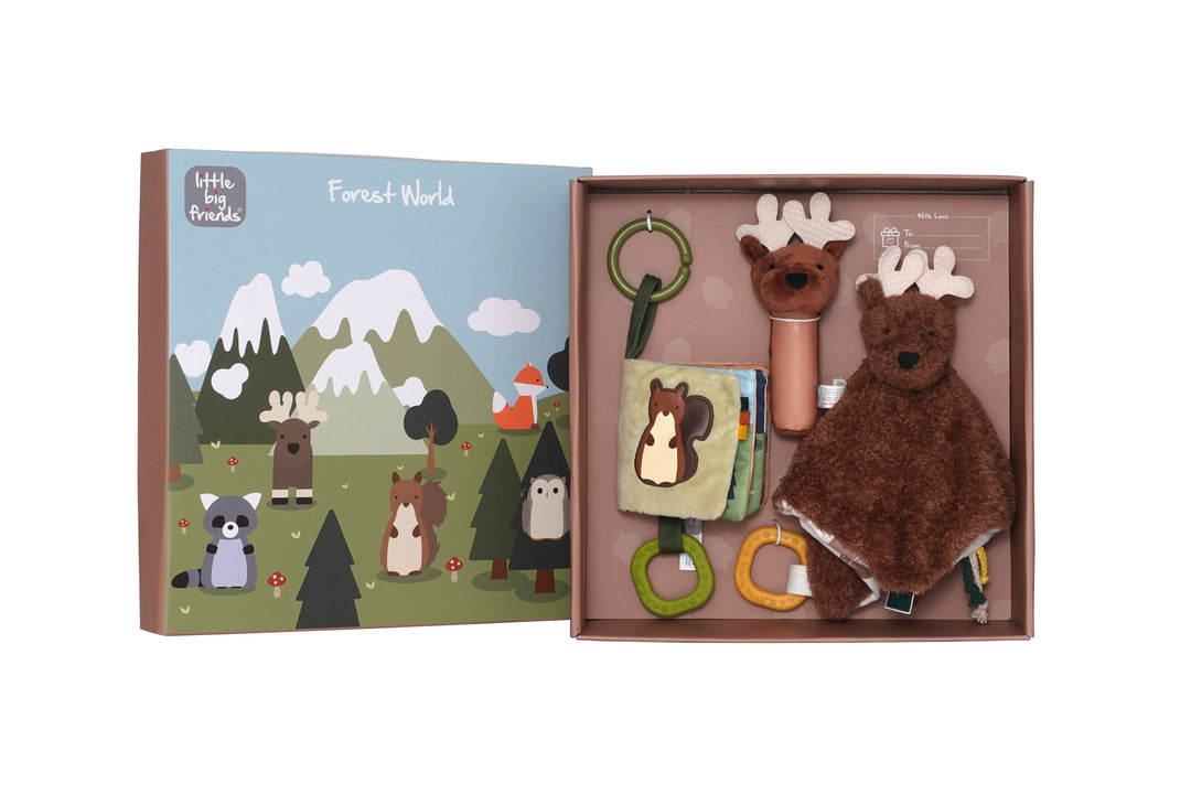Baby Gift Box – Forest