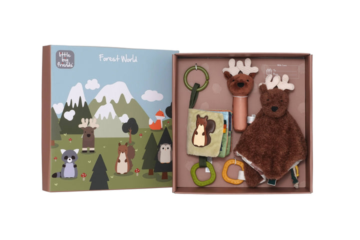 Baby Gift Box – Forest