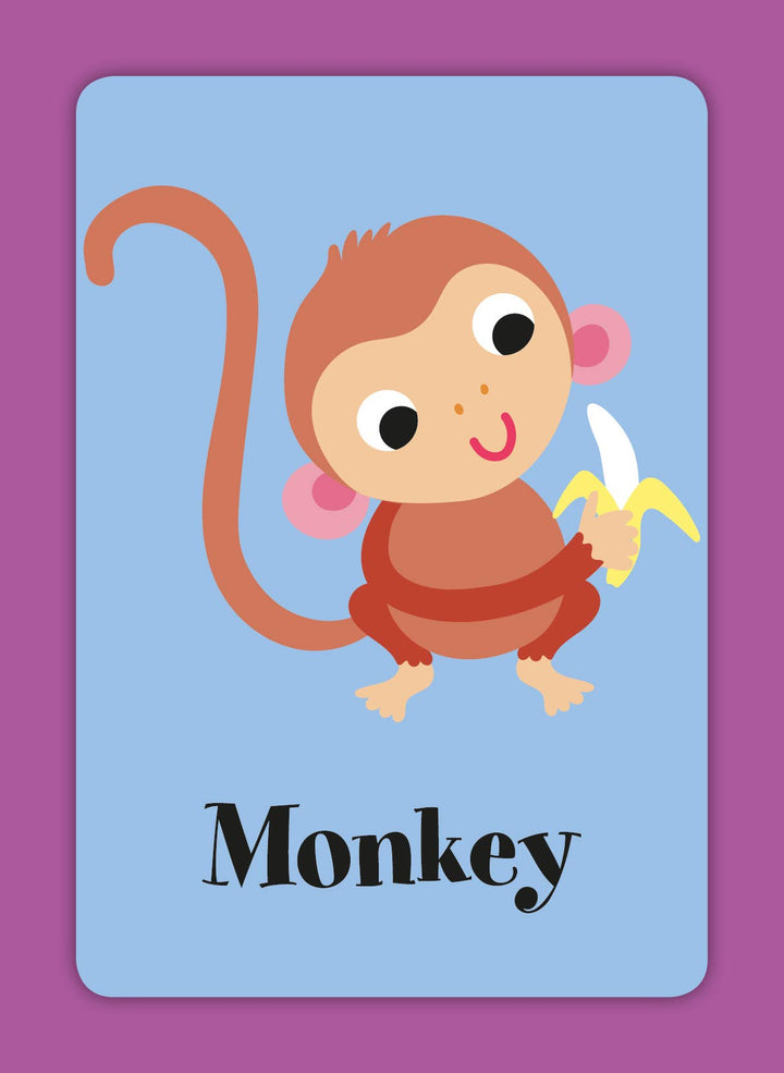 Flash Cards - First Learning - 30 Double Sided Cards