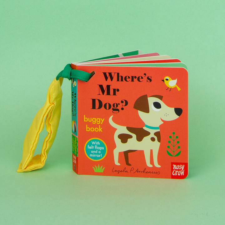 Felt Flap: Where's Mr Dog? (Buggy Book)
