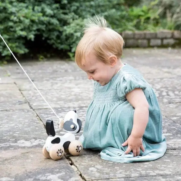 Classic World Pull Dog Wooden Walking & Motor Skills Toy