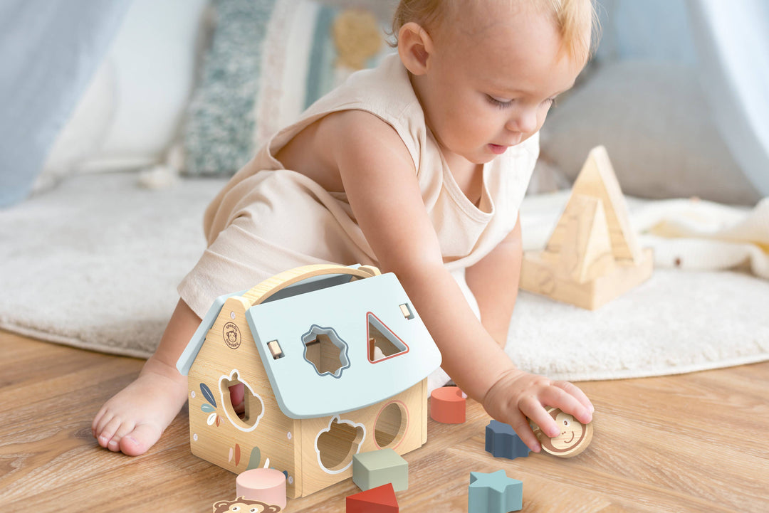 House Shape Sorter with 8 Blocks