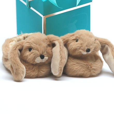 Brown Bunny Baby Slippers 0-6months