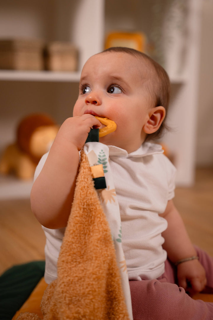 Tiger Comforter With Teether