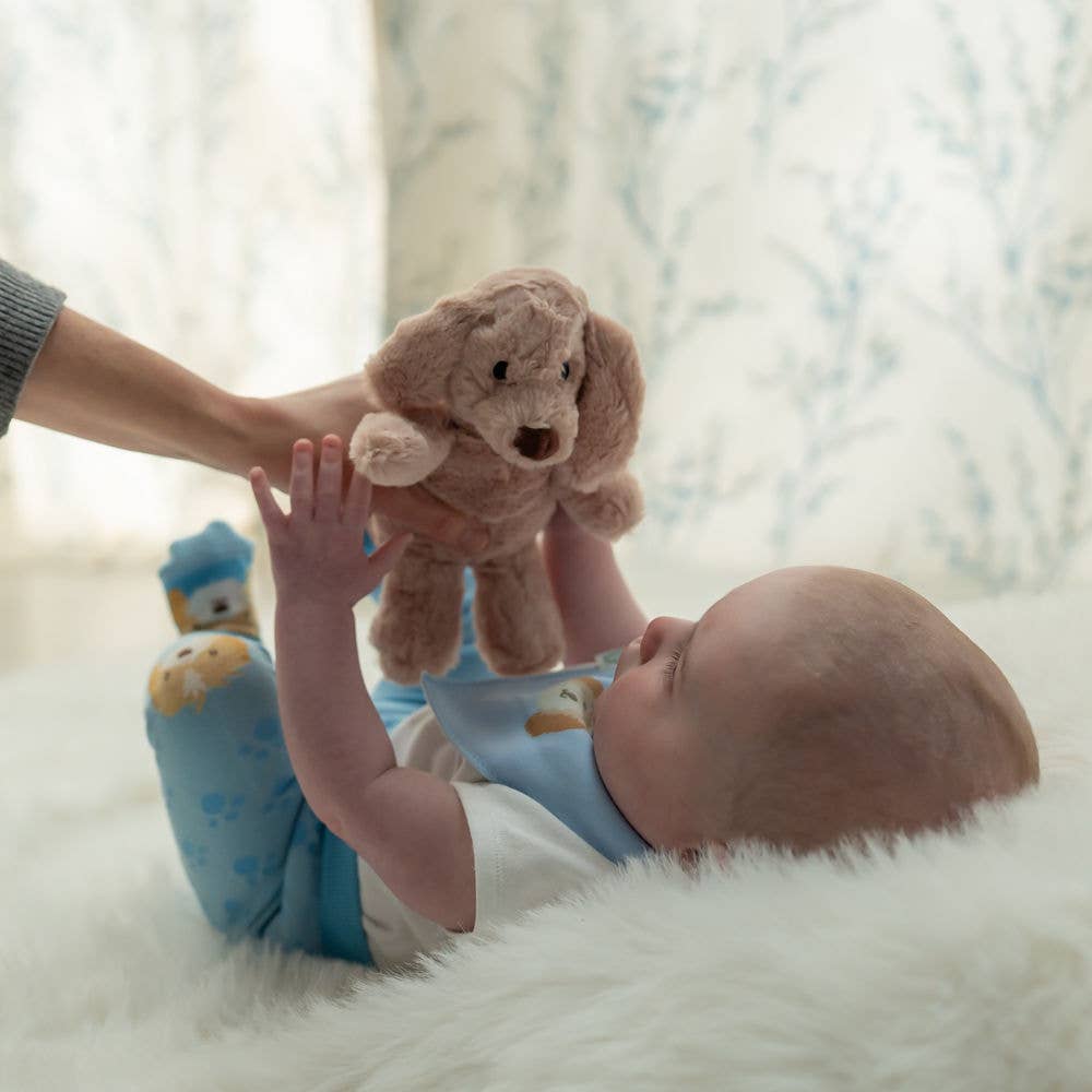 Puppy Plush Toy