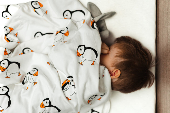 Scottish Puffin Blanket